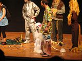 IMG_5799.jpg image by Techitone